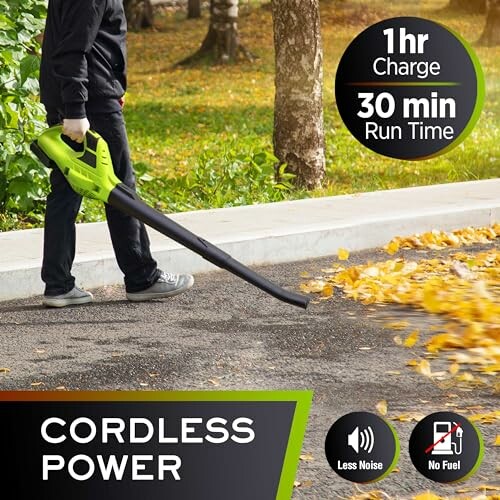 Person using a cordless leaf blower on a driveway with leaves.