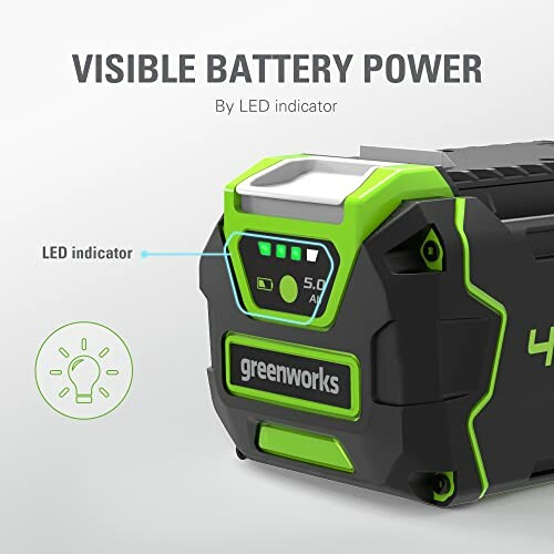 Greenworks battery with LED power indicator.